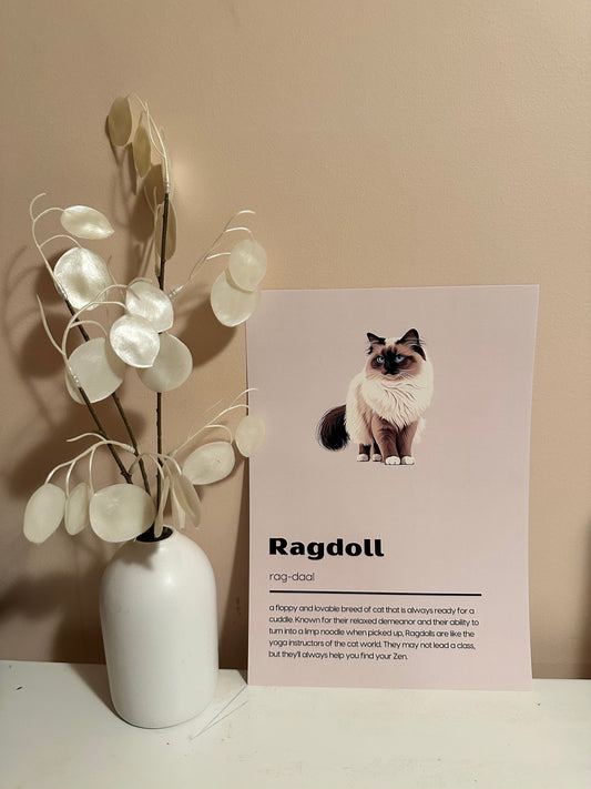 A4 300gms Cat Breed Print Poster
